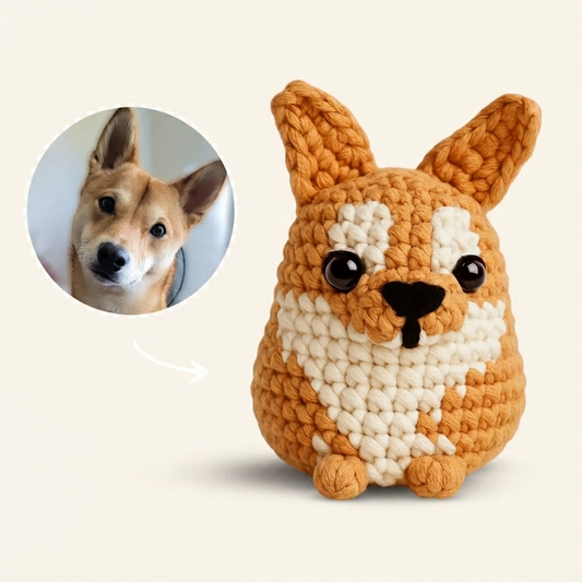 Personalized Pet Crochet Kit